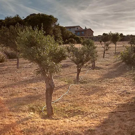 Alloggio per agriturismo Nuraghe Tuttusoni